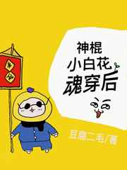 ���С�׻��괩��