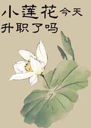 С����������ְ����